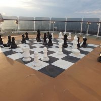 Гигантские шахматы :: Natalia Harries