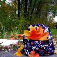 осень в рюкзаке :: Анастасия 