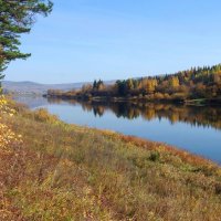 Осень у реки. :: Вера Литвинова