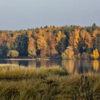 Осеннее настроение. :: ТатьянА А...