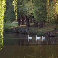 Пейзаж ранней осени. :: barsuk lesnoi