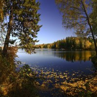 В тишине осеннего озера :: Сергей Жуков