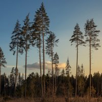 Великаны... :: Александр Попович