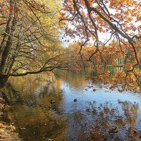 В осеннем парке. :: Валентина Жукова