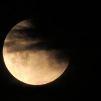 Луна в облаках :: Вера Щукина