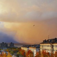 Перед дождем со снегом.... :: Анна Приходько