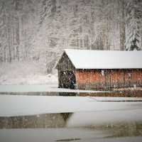 Зима на Тёплицзее :: Милана Гиличенски 