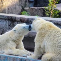 Жизнь  наполнена любовью :: Вячеслав Случившийся