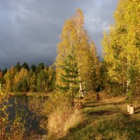 Два места с видом на осень... :: Нэля Лысенко