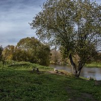 Место для пикника :: Яков Реймер