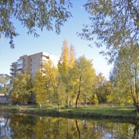 Осень в городе :: Нина Синица