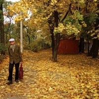 Осень жизни как и осень года :: dana smirnova