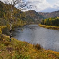 Осень в Сибири.Река Мана :: Татьяна Соловьева