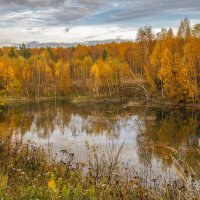 Золотая осень :: Елена Елена