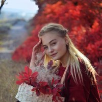 Осень цвета бордо :: Олеся Стоцкая