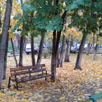 Осенняя лавочка :: Alexander Borisovsky