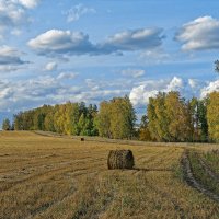 Полевая дорога :: Дмитрий Конев