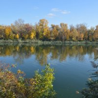 Осень в красках. :: Виктор 