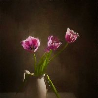 тюльпаны :: Viacheslav Krasnoperov