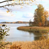 Бесконечно можно любоваться ...осенью! :: Ольга Митрофанова