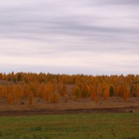 Октябрьским вечером :: Татьяна Ломтева