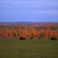 А хмур ли октябрь? :: Татьяна Ломтева