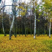 Москва. Воронцовский парк. :: Ирина 