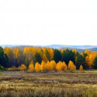 Золотая осень :: Анна Суханова