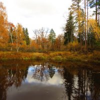 Отражение в речном омуте :: Андрей Снегерёв