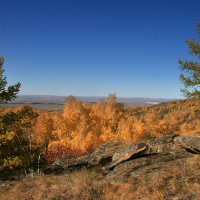 Золотая осень :: Галина Ильясова