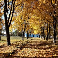 осень :: Владимир Холодницкий