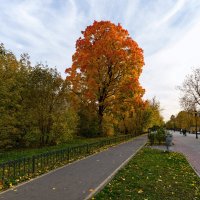 Осень в моем городе :: Олег Пученков