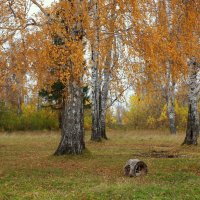 В старом парке бродит осень... :: Нэля Лысенко