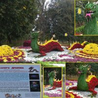 Красавец-Дракон на выставке хризантем... :: Тамара Бедай 