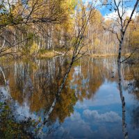 Осеннее зазеркалье :: Алексей Мезенцев