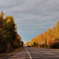 Рыжая осень попутчица! :: Маргарита ( Марта ) Дрожжина