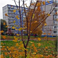 ВЛАДИМИР ПРОВИНЦИАЛЬНЫЙ :: Валерий Викторович РОГАНОВ-АРЫССКИЙ