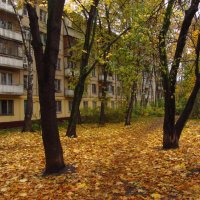 В Москве зрелая осень :: Андрей Лукьянов