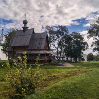 Дерево и камень :: Нина Богданова