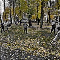 Все - на уборку листьев! :: Vladimir Semenchukov