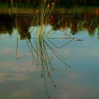 Геометрия отражения в реке... :: Лидия Бараблина