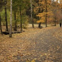 Центральный парк Воронежа 09 10 2019 :: Юрий Клишин