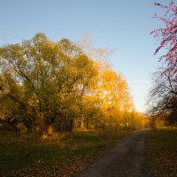 Осень :: Мария Ларионова