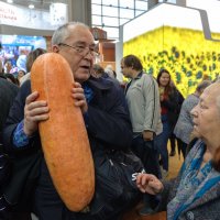 Золотая Осень :: Сергей Золотавин