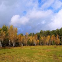 Подмосковье :: Вадим 