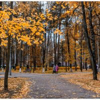 В парке... :: Игорь Волков