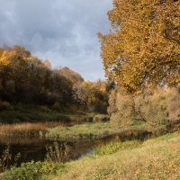 р.Протва :: Владимир Безбородов