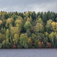 Осень -Волга. :: юрий макаров