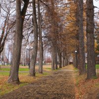 Осень в старом парке :: Нэля Лысенко