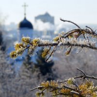 С праздником Покрова! :: Ната Волга